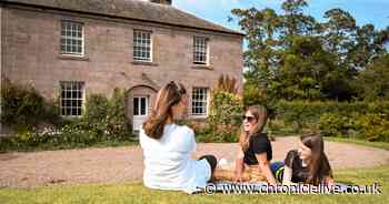 Northumberland to host outdoor Grease and Greatest Showman concerts