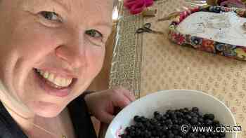 Yukoner ordered to self-isolate after berry-picking at border