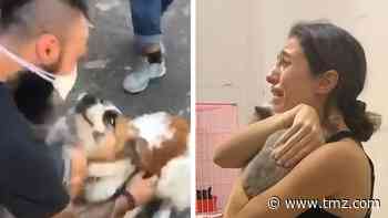 Pets Reunited with Owners in Heartwarming Videos After Beirut Blast