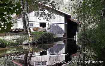 Die kleine Wasserkraft hat zu kämpfen - Wirtschaft - Badische Zeitung - Badische Zeitung