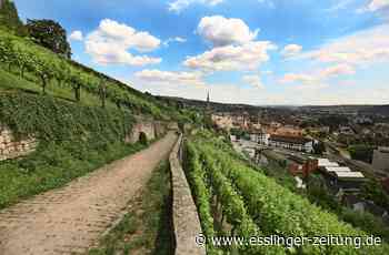 IW-Regionalranking - Die Wirtschaft im Kreis Esslingen im Vergleich - esslinger-zeitung.de