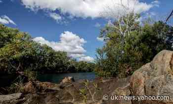 Morning mail: Urannah dam questions, Abbott on 'virus hysteria', Trump denies mini-strokes