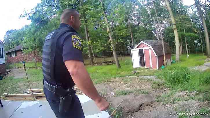 Fawns 'Cheer' After Being Rescued From Pool by Police in Parma, Ohio