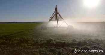 Federal government endorses Lake Diefenbaker irrigation project, calls for more consultation