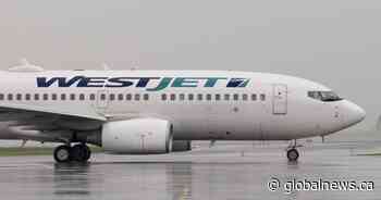 WestJet raises fees, warns of further travel decline after Nav Canada rate increase