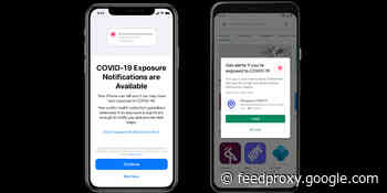 Apple and Google say 25 states and territories have explored using COVID-19 contact tracing apps