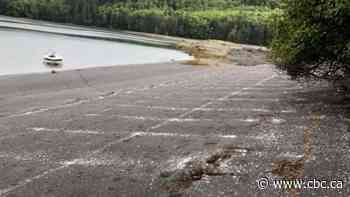 Haida Gwaii beach lines are a natural phenomenon, says First Nations councillor