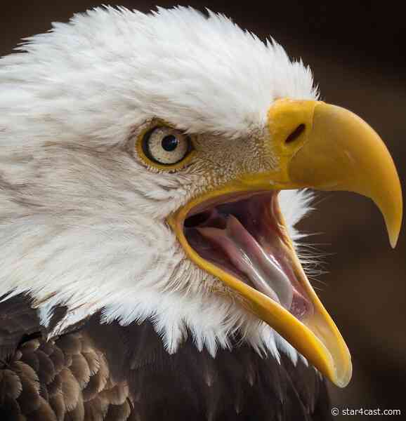 USA – divided against itself ++ Trump grinding to a halt