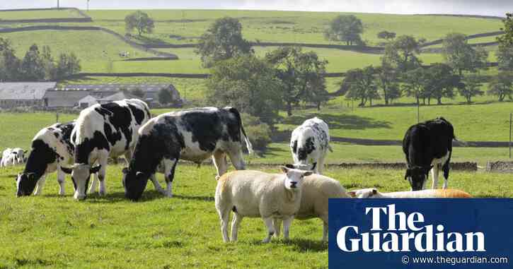 Nearly 30,000 tonnes of sewage sludge containing human waste to enter UK