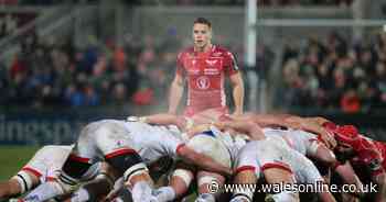 10 uncapped players Wales may now consider calling up next month - Wales Online