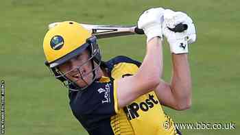 Criced: Morgannwg yn colli yn erbyn Gwlad yr Haf