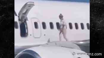 Ukranian Woman Walks on Wing of Parked Plane, Needed a Cooldown