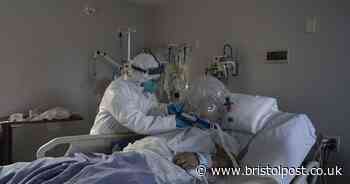 Bristol researchers make major breakthrough in coronavirus treatment
