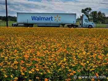 Walmart Plus targets Amazon Prime with cheaper $98 membership fee     - CNET