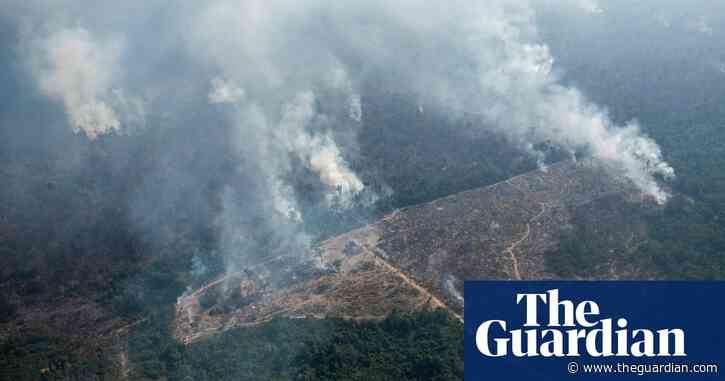 Amazon tragedy repeats itself as Brazil rainforest goes up in smoke