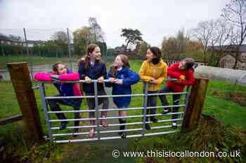 Tesco spread joy with new community grant scheme