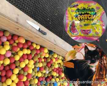 Shocking and bizarre crimes reported to police in August - Warrington Guardian