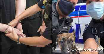 An Abused Dog Was Rescued In Ottawa & Police Are Gushing Over His 'Boopable' Nose - Narcity Canada