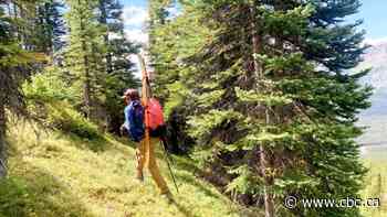 Canmore man returns to mountain where he lost his wife to an avalanche in January