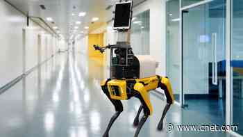 See Boston Dynamics robot dog Spot protect medical workers from coronavirus     - CNET