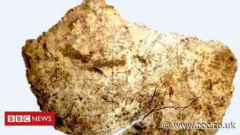 Vindolanda Fort: Remains of Christian chalice found