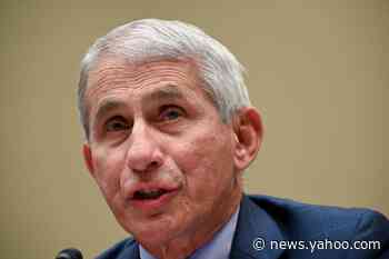 Fauci breaks with Trump on COVID-19 herd immunity: ‘That’s certainly not my approach’