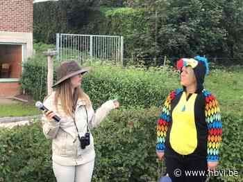 Geluksvogel landt bij VBS De Letterboom in Jesseren - Het Belang van Limburg