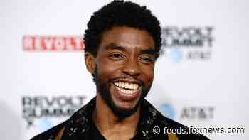 Chadwick Boseman thought he'd beat cancer, didn't disclose diagnosis to Marvel: Report