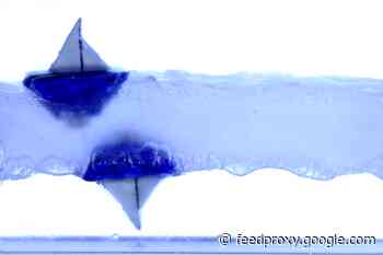 These Tiny Boats Can Float Upside Down on Levitating Liquid