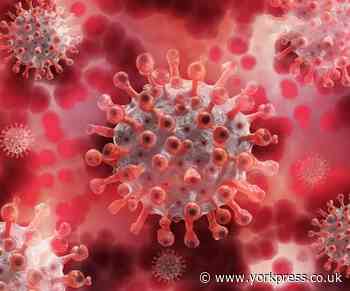 Six-fold increase in coronavirus rate in Hambleton