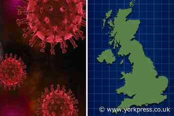 Local lockdowns: These areas across England could be next