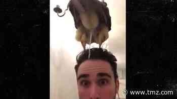 Video Shows Owl Pooping On Man's Head