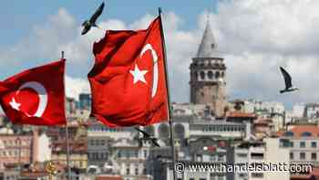 Türkei: Lira auf Rekordtief – Türkischer Wirtschaft droht eine gefährliche Spirale - Handelsblatt