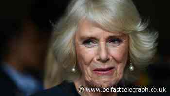 Camilla pens newspaper article to highlight scourge of domestic abuse