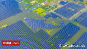 Climate change: Power companies 'hindering' move to green energy