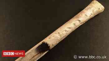 Bronze Age tradition of keeping human remains uncovered