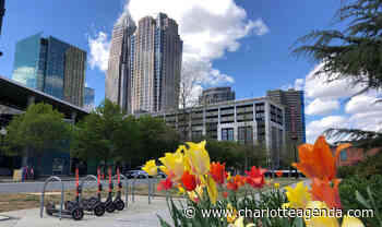 Cash Confessional: How Latesha Byrd went from accounting to career coaching for a global network of female leaders - Charlotte Agenda