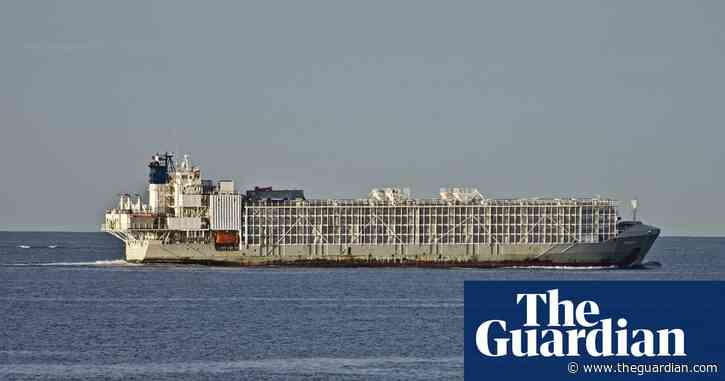 New Zealand suspends live cattle exports after ship sinks