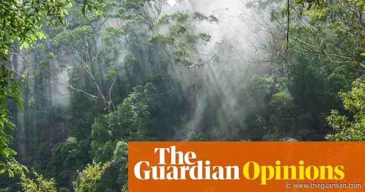 Under the cloak of Covid, the government is rushing ill-considered changes to Australia's environment laws | Geoff Cousins