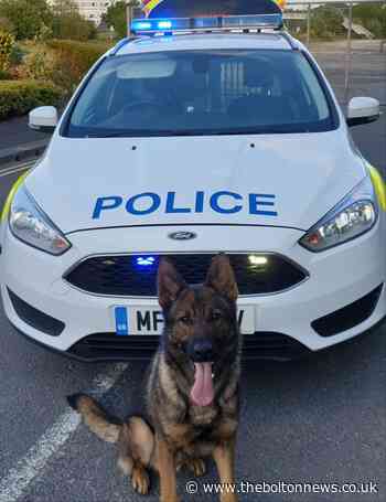 Police dog Tommy finds suspect hiding in woods after stabbing in Bolton - The Bolton News