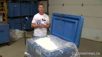 Calgary dry ice business finds new life in fueling family science experiments