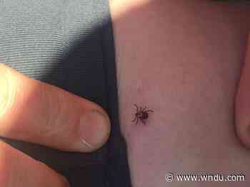 Medical Moment: Teen takes on Lyme disease - WNDU