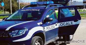 Oltre 40 sanzioni ai privati perché l'erba era troppo alta - La voce di Rovigo