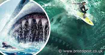 Total size of giant The Meg shark finally revealed by Bristol scientists