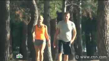 Journalist: Surveillance of Navalny was constant