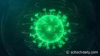 Small Neutralizing Antibody Identified That May Prevent COVID-19 Infection