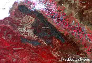 NASA Tracks California’s Wildfires From Space and in the Air