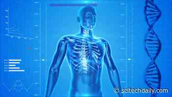 Researchers Identify Possible New Entry Points for SARS-CoV-2 / COVID-19 Into the Human Body