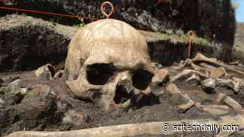 Genetic Analysis of Bones From a Bronze Age Battle Reveal Lactose Tolerance Quickly Spread Throughout Europe