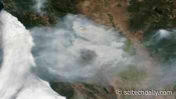 Burn Scars from Elkhorn Fire in California Revealed in Devastating NOAA-NASA Satellite Images